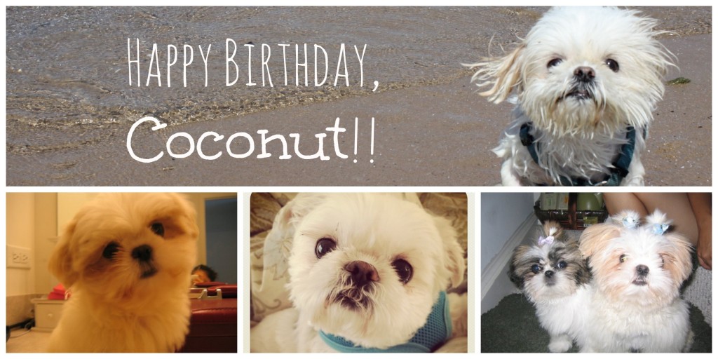 A Puppy Story: Coconut Part 1