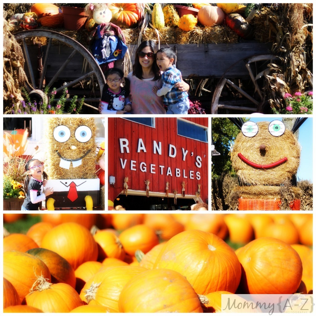 Fall Fun at Randy’s Vegetable Farm Stand