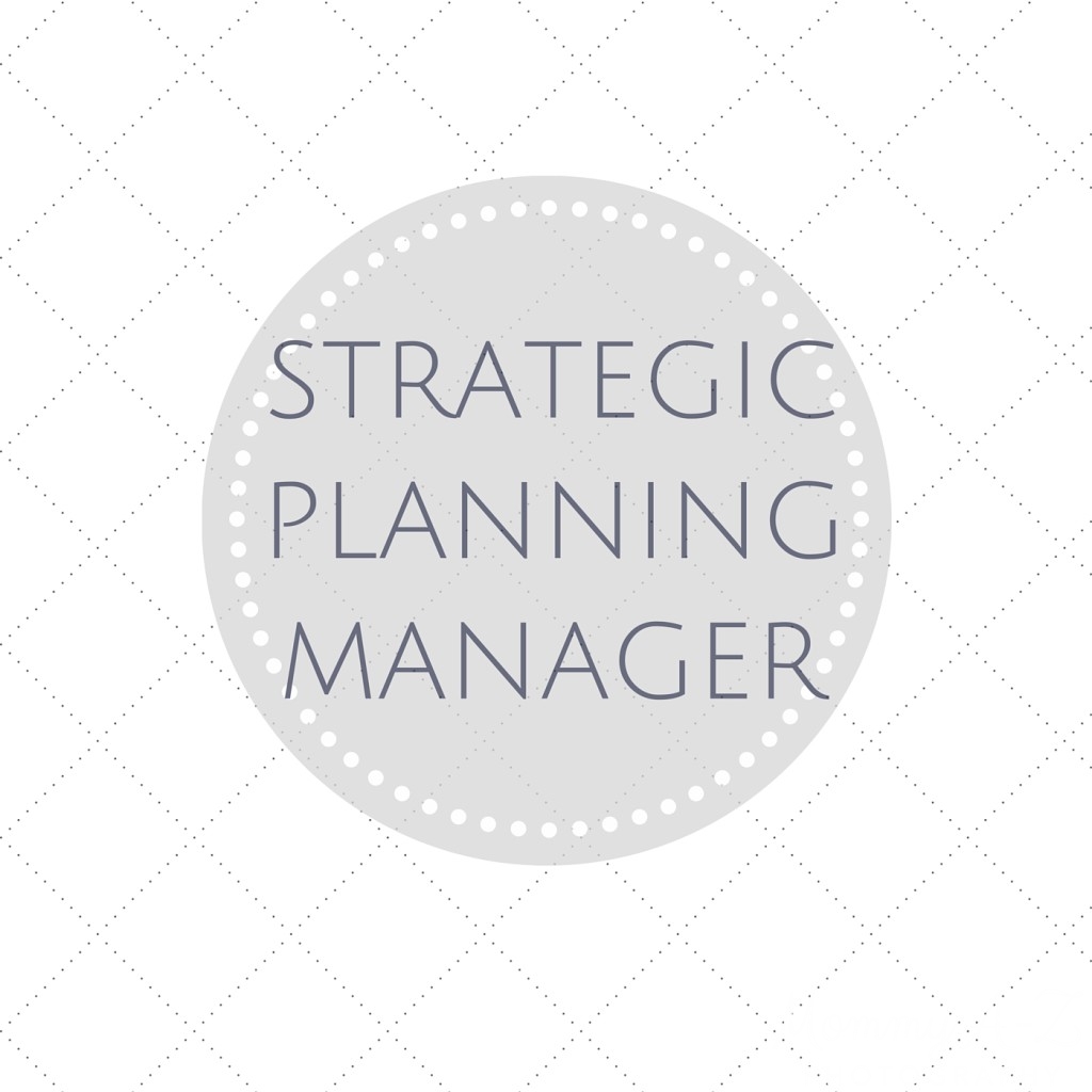 The Day Job: Strategic Planning Manager